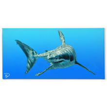 Load image into Gallery viewer, Great White Shark Canvas Print