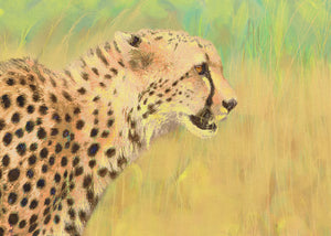 Cheetah Canvas Print "Cheetah Prowl"