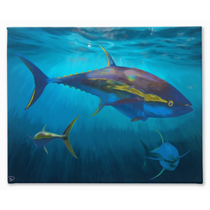 Yellowfin Tuna Canvas Print "Yellowfin"