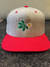 Load image into Gallery viewer, Ohio Snapback Hat