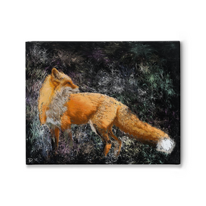 Red Fox Canvas Print "Guarding The Hen House"