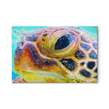 Load image into Gallery viewer, Sea Turtle Canvas Print &quot;Can&#39;t You Sea&quot;