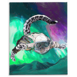 Space Cadet Canvas Print