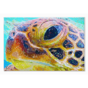 Sea Turtle Canvas Print "Can't You Sea"