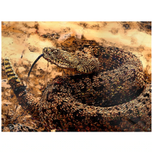 Load image into Gallery viewer, Rattlesnake Tapestry &quot;Don&#39;t Tread&quot;