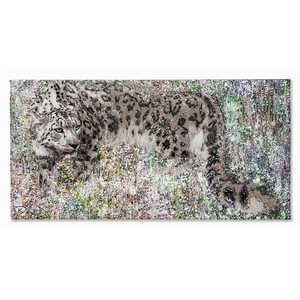 Snow Leopard Canvas Print "Visions"