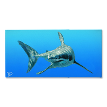 Load image into Gallery viewer, Great White Shark Canvas Print