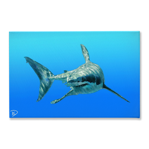 Great White Shark Canvas Print