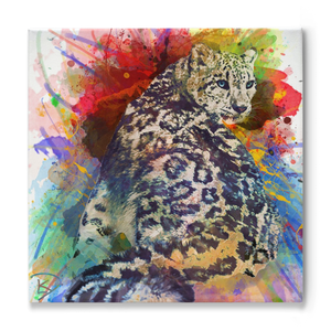 Snow Leopard Canvas Print "Snow Leopard"