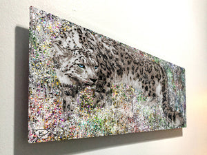 Snow Leopard Aluminum Print "Visions"