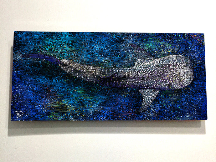 Whale Shark Aluminum Print 