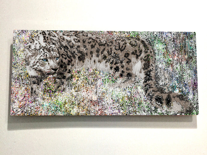 Snow Leopard Aluminum Print 