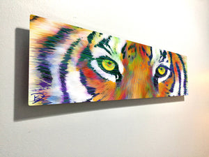 Tiger Eye Aluminum Print "Tiger Eyes"