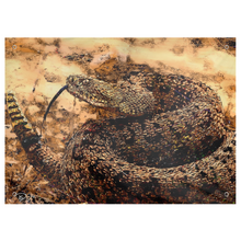 Load image into Gallery viewer, Rattlesnake Tapestry &quot;Don&#39;t Tread&quot;