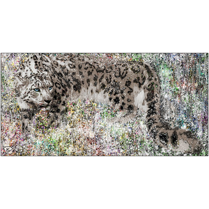 Snow Leopard Aluminum Print "Visions"