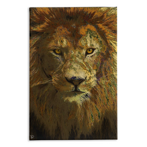 Lion Canvas Print "Lion No Doubt"