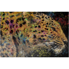 Load image into Gallery viewer, Leopard Metal Print &quot;Sublime&quot;