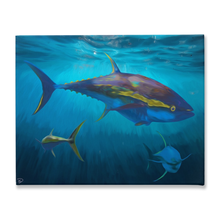 Load image into Gallery viewer, Yellowfin Tuna Canvas Print &quot;Yellowfin&quot;
