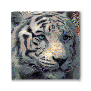 White Tiger Canvas Print "Truth Seeker"