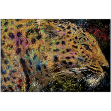 Load image into Gallery viewer, Leopard Metal Print &quot;Sublime&quot;