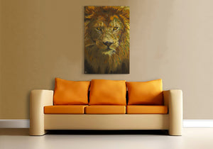 Lion Canvas Print "Lion No Doubt"