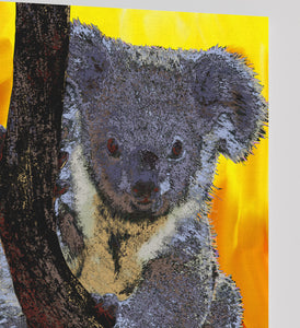 Koala Bear Canvas Print "Natural Mystic"