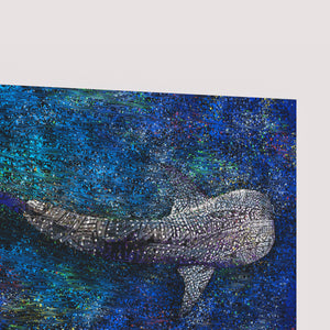 Whale Shark Canvas Print "Solitary Soul"