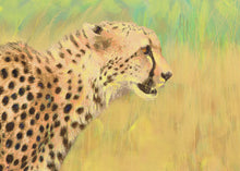 Load image into Gallery viewer, Cheetah Canvas Print &quot;Cheetah Prowl&quot;