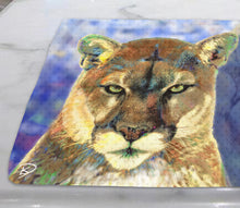 Load image into Gallery viewer, Nittany Lion Dish Towel &quot;Lion Paw&quot;