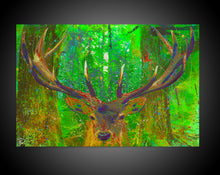 Load image into Gallery viewer, Deer Canvas Print &quot;Red Stag Rival&quot;