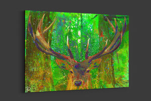 Deer Canvas Print "Red Stag Rival"