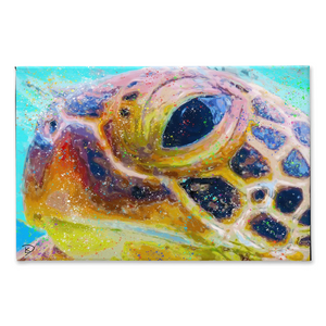 Sea Turtle Canvas Print "Can't You Sea"