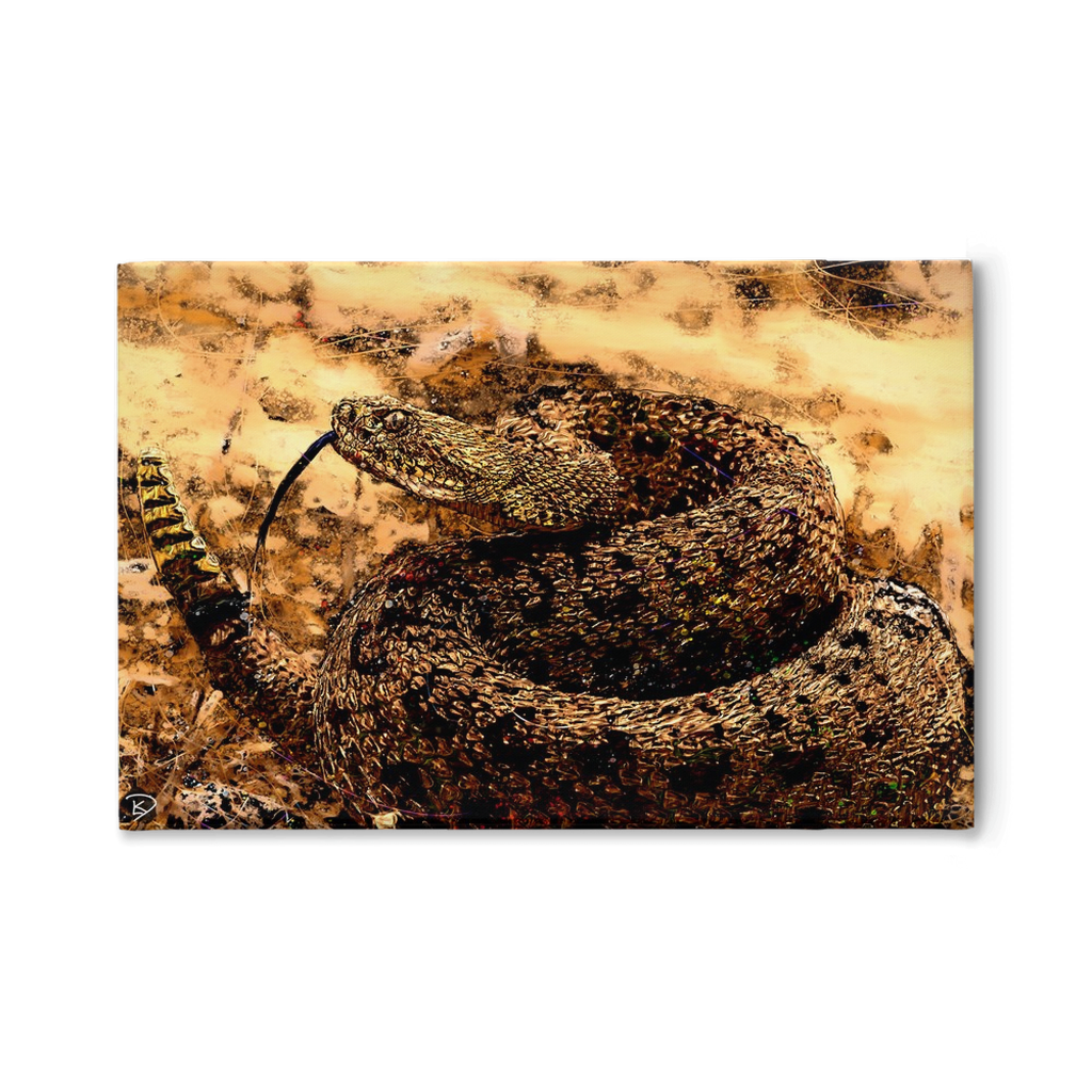 Rattle Snake Canvas Print 