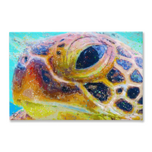 Load image into Gallery viewer, Sea Turtle Canvas Print &quot;Can&#39;t You Sea&quot;