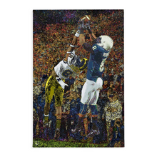 Load image into Gallery viewer, Allen Robinson Canvas Print &quot;The Catch&quot;