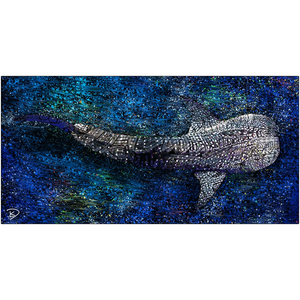 Whale Shark Aluminum Print "Solitary Soul"