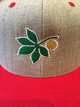 Load image into Gallery viewer, Ohio Snapback Hat